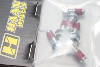 Rear brake disc screw set, mounting screws 100.002/6 KTM...