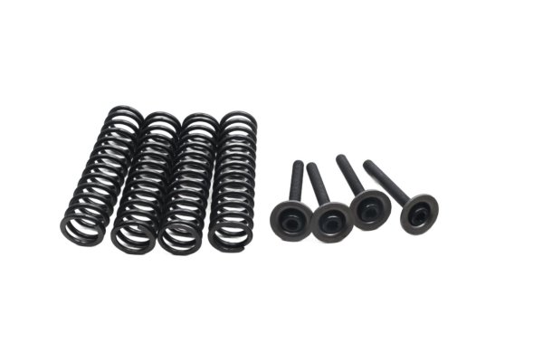 Koppelingsveren, schroevenset, druklagerset Kawasaki ZX-6R Ninja ZX600G 98-99