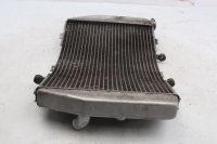 Waterkoeler, radiator, motorkoeling, gebogen Kawasaki ZX-6R Ninja ZX600G 98-99