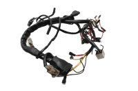Kabelboom, ontstekingsbedrading, snelheidsmeterweergave Moto Guzzi California III VW 87-93
