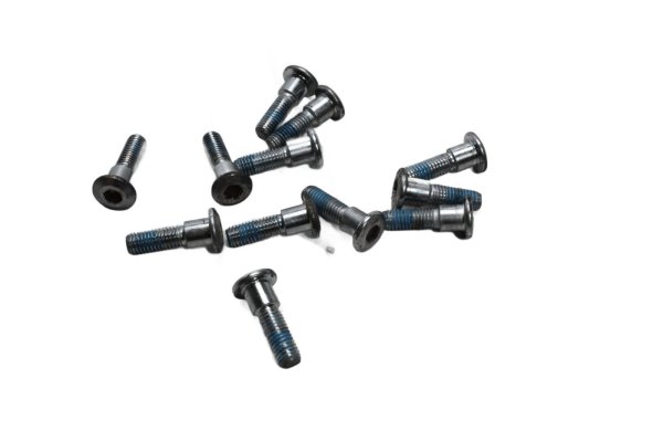 Front brake disc screw set Triumph Speed Triple 955 T509 509 99-01