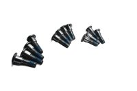 Front brake disc screw set Triumph Speed Triple 955 T509 509 99-01