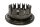 Clutch basket, clutch hub, drive basket Triumph Speed Triple 955 T509 509 99-01