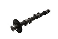 Camshaft intake gear control Triumph Speed Triple 955 T509 509 99-01