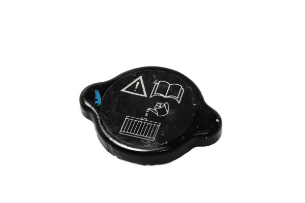 Radiator cap cover Triumph Speed Triple 955 T509 509 99-01