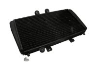 Vandkøler, køleradiator, kølenet Triumph Speed Triple 955 T509 509 99-01