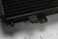 Vandkøler, køleradiator, kølenet Triumph Speed Triple 955 T509 509 99-01