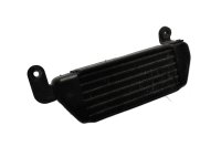 Öljynjäähdytin, jäähdytin, öljyjohto, moottorin jäähdytys Triumph Speed Triple 955 T509 509 99-01