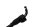 Kaksoiskaasuvaijeri, kaasuläppä, rikastin Triumph Speed Triple 955 T509 509 99-01