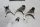 Vaihdevipu, vaihteisto, haarukat, akseli Triumph Speed Triple 955 T509 509 99-01