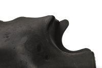 Vaihteiston suojus, alustan suojaus Triumph Speed Triple 955 T509 509 99-01