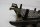 Istuimen sovitinlevy tavaratelineeseen Triumph Speed Triple 955 T509 509 99-01
