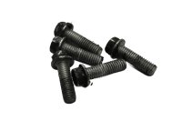 Ketjunsuojan hammasrattaan suojus Triumph Speed Triple 955 T509 509 99-01