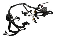 Pääjohtosarjan sulakerasia Triumph Speed Triple 955 T509 509 99-01