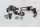 Fuel tank holder set, mounting rubber BMW R 1200 GS K25 0307 R12 04-07