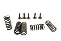 Kytkinjouset ja ruuvisarja Triumph Speed Triple 955 T509 509 99-01