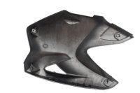 Front left side panel BMW R 1200 GS K25 0307 R12 04-07