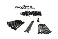 Juego de pernos de montaje del motor Triumph Speed Triple 955 T509 509 99-01