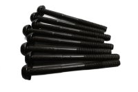 Juego de pernos de montaje del motor Triumph Speed Triple 955 T509 509 99-01