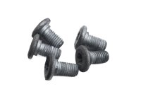 Rear brake disc screws set brake BMW K 1300 GT K44 0538 09-11