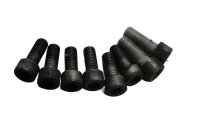 Schroevenset zeskantschroeven kuipframe BMW R 1100 GS 259 0409 93-99