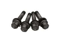 Wielboutenset, montage achterwiel, velg BMW R 1100 GS 259 0409 93-99