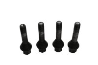 Wielboutenset, montage achterwiel, velg BMW R 1100 GS 259 0409 93-99
