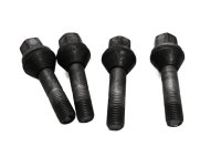 Wielboutenset, montage achterwiel, velg BMW R 1100 GS 259 0409 93-99