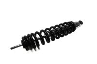 Voorste veerpoot, schokdemper, schommelveer, ophanging BMW R 1100 GS 259 0409 93-99