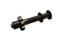 Oliepomp, aandrijfas, tandwiel, olietoevoer, motor BMW R 1100 GS 259 0409 93-99