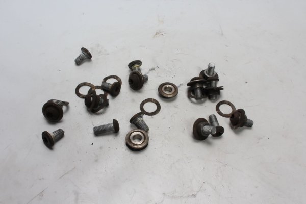 Screw set for mounting brake disc front rear BMW R 1100 GS 259 0409 93-99