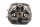 Cylinder head, valve cover left, valve guide Moto Guzzi California III VW 87-93