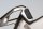 panneau latéral gauche BMW R 1200 GS K25 0307 R12 04-07