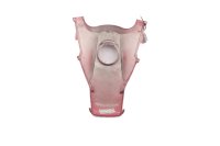 Cache de carénage avant, partie supérieure avant, rouge BMW R 1200 GS K25 0307 R12 04-07