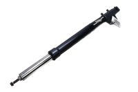 forreste højre gaffelben, støddæmperstolpe BMW R 1150 R Rockster R28 0308 03-05