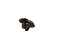 Protection de talon, support de repose-pied avant gauche BMW R 1200 GS K25 0307 R12 04-07