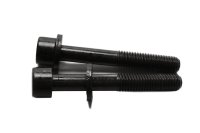 Engine screws, screw set, M6 BMW R 1150 R Rockster R28 0308 03-05