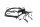 Kabelboom, hoofdkabel, zekeringkast Moto Guzzi California III VW 87-93