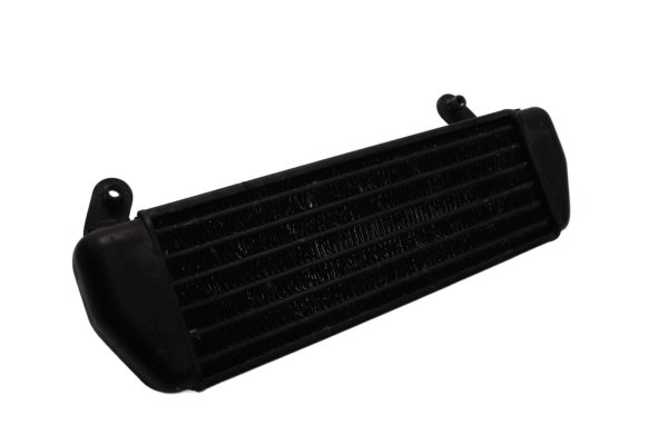 Enfriador de aceite, línea de aceite, nervaduras de refrigeración del motor BMW R 1200 GS K25 0307 R12 04-07