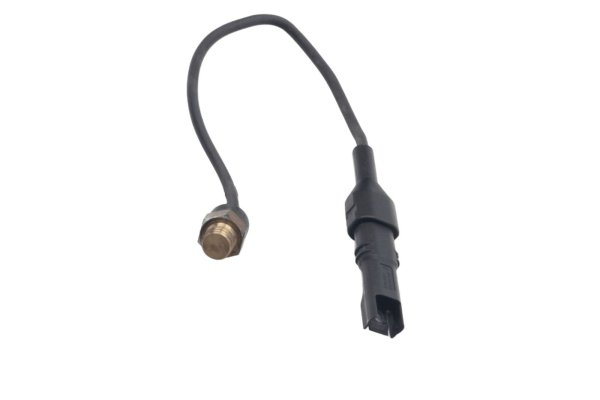 Capteur de température du liquide de refroidissement, moteur droit BMW R 1200 GS K25 0307 R12 04-07