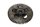 Drive gear crankshaft flywheel BMW R 1200 GS K25 0307 R12 04-07