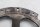 Koblings mellemring svinghjulsbolte BMW R 1200 GS K25 0307 R12 04-07