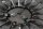 Clutch kit pressure plate clutch assembly BMW R 1150 R Rockster R28 0308 03-05