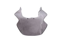 Windschild getönt Verkleidungsscheibe BMW R 1200 GS K25 0307 R12 04-07