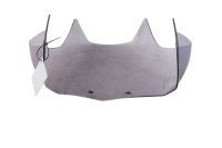 Windschild getönt Verkleidungsscheibe BMW R 1200 GS K25 0307 R12 04-07