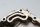 joint de couvercle de moteur avant, logement de palier BMW R 1200 GS K25 0307 R12 04-07