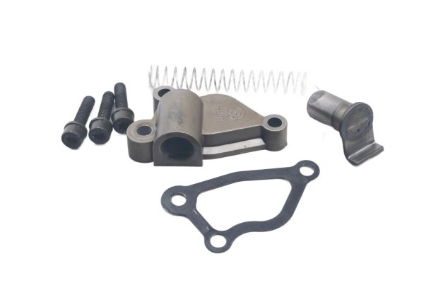 Tensor de cadena, cadena de distribución, suministro de aceite, tensor de resorte BMW R 1200 GS K25 0307 R12 04-07
