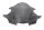 tinted windscreen, universal windshield fairing Kawasaki universell