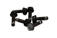 Frizione completa, volano e cestello frizione. BMW R 1200 GS K25 0307 R12 04-07