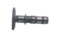 Camshaft intake rear gear valve control Honda XL 1000 V...